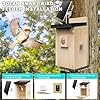 Solar Smart Bird House with Camera Bird Box for Outdoors - Full Color Night Vision 4MP HD Camera Birdhouse Auto Capture Bird Videos & Motion Detectio APP Control for Blue Tits Wild Birds(Wood)