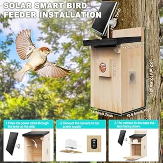 Solar Smart Bird House with Camera Bird Box for Outdoors - Full Color Night Vision 4MP HD Camera Birdhouse Auto Capture Bird Videos & Motion Detectio APP Control for Blue Tits Wild Birds(Wood)