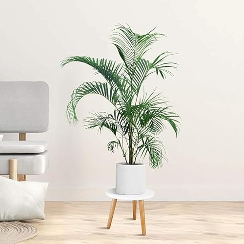 ECONODECOR® Modern Round Nesting Coffee Table Set Marble Finish Top with Industrial Metal Frame Luxury Center Table for Living Room MDF Faux Marble Top Powder Coated Iron Base (Golden White)