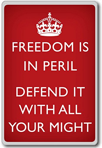 Preisvergleich Produktbild Freedom Is In Peril Defend It With All Your Might Motivational Red - motivational inspirational quotes fridge magnet - Kühlschrankmagnet