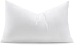 Puredown® 20 x 20 Pillows Square Pillow Inserts Feather Throw Pillow Inserts (Set of 2, White), Décor Pillow for Couches, Chairs, Offices, Apartments
