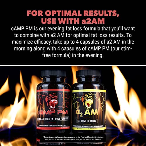 Gorilla Mind Camp Pm Fat Burner Capsules – Stimulant-Free Fat Loss Formula/Suppresses Appetite, Increased Fat Loss, No Jitters (120 Capsules) #TOP6