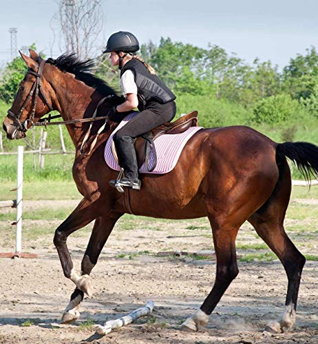 Chinfun Kids Horse Riding Gloves Child Winter Gloves Cycling Gloves Windproof Warm Gloves Perfect For Cycling Riding Running Skiing And Winter Outdoor Activities Yellow Size Xl 12-14 #TOP5