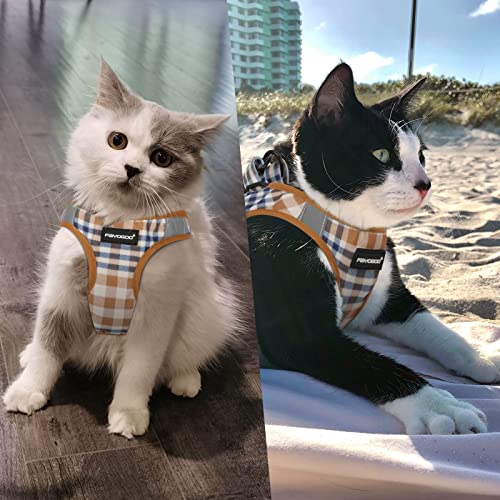 Image of FAYOGOO Cat Harness and Leash Set (BrownBlueplaid, M(Chest 10-12 inch))