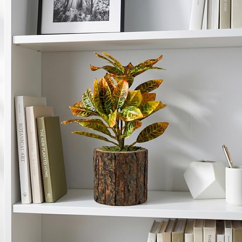 Image of Dekorly Artificial Croton Plant with Real Wooden Vase (20CM Overall Height) | Decorative Lifelike Faux Floral Plant in Rustic Tree Log Pot for Living Room