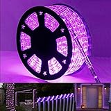 Toodour Rope Lights Outdoor, 100ft 720 LED Rope Light with 8 Lighting Mode, Connectable, Timer, Indoor Outdoor Clear Tube Decorative Lighting for Garden Patio Bedroom Party Yard Decor - Purple