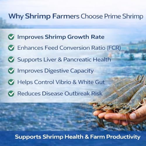 Image of Prime Shrimp 1kg Aquaculture Feed Supplement for Shrimp & Fish Farming | Improves Growth Rate, Gut Health & Feed Conversion | Helps Control White Gut, Vibrio & EMS | Probiotic Enzyme Formula