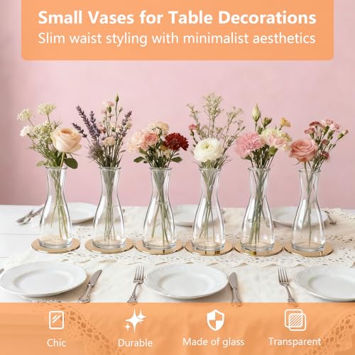 LUOJINYI Kleine Vasen, 12 Stück Glas Vasen Klein Tischdeko für Hochzeitsdeko, Kleine Glasvasen Flower Glasfläschchen für Tischdeko Mittelstücke, Hochzeitsdekorationen