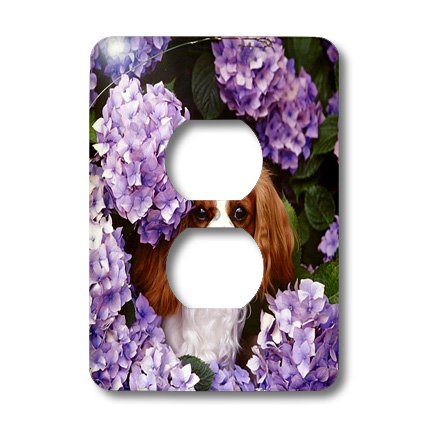 Cavalier King Charles Spaniel plaque 2 prises pour cacher les fixations ternes