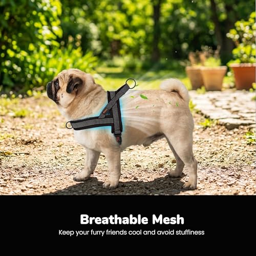 Image of Didog No Pull Dog Harness for Medium Dogs, Breathable Mesh Padded, Black,M