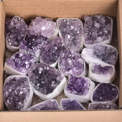 AMOYSTONE 1LB Amethyst Clusters Bulk Amethyst Crystal Stones for Chakra Healing Meditation Decoration Jewelry Making