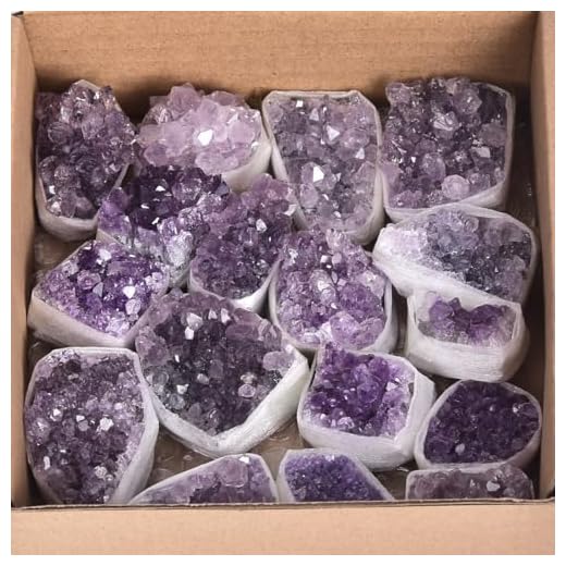 AMOYSTONE 1LB Amethyst Clusters Bulk Amethyst Crystal Stones for Chakra Healing Meditation Decoration Jewelry Making
