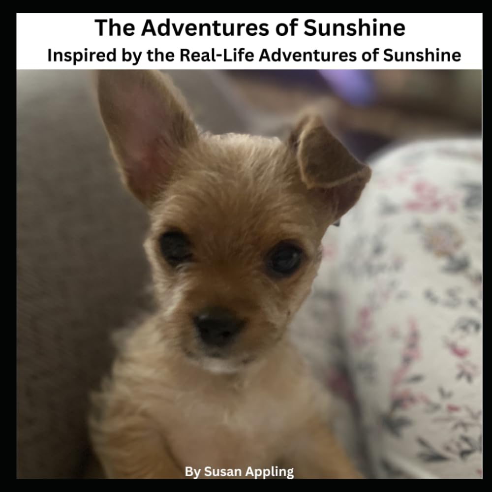 The Adventures of Sunshine: Inspired by the Real-Life Adventures of Sunshine