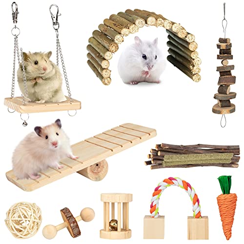 OmeHoin Hamster Kauspielzeug, 11 Stück Natürliches Kiefernholz aus Holz Übung Glockenrolle Zahnpflege Molar Backenzahnspielzeug Spielzeug für Meerschweinchen Ratten Chinchillas Spielzeug Zubehör Cover