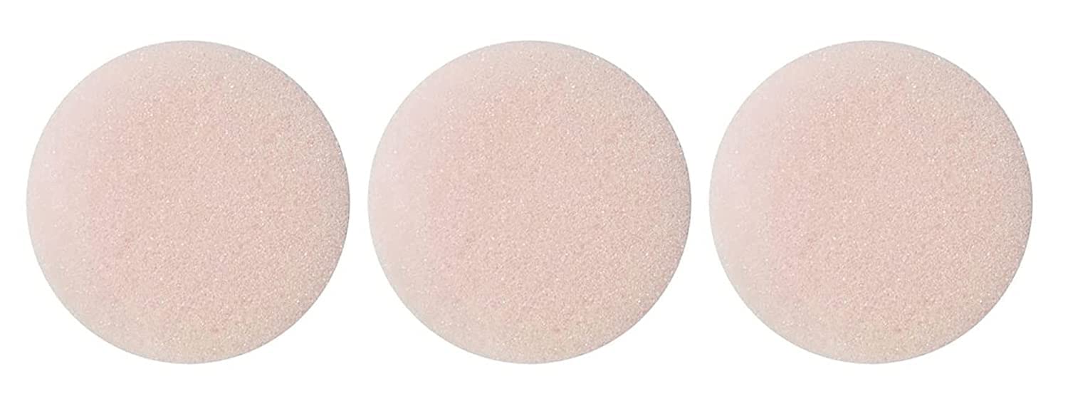 Eulenspiegel 212004 - Profi-Aqua Schminke, 12 Farben, 2 Profi-Pinsel, Metall-Palette