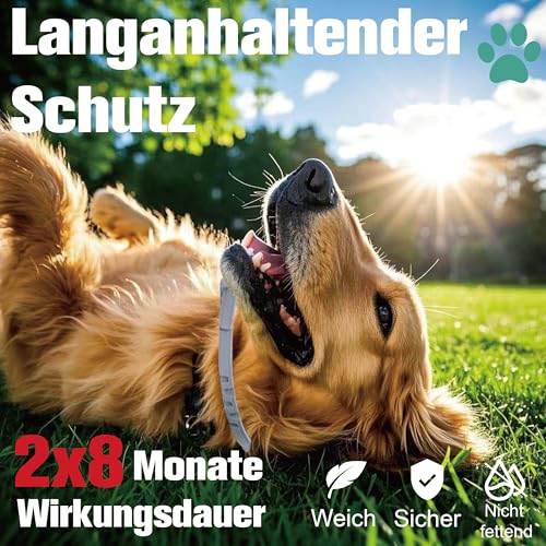 Advanllent Zeckenhalsband für Hunde 2 Stück, Flohhalsband Hunde, Floh und Zeckenhalsband Hund, Zeckenschutz Flohschutz Halsband für Hund, 16 Monate Zeckenschutz