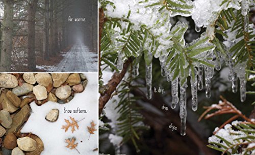 Best in Snow (Weather Walks) - Thumbnail 7