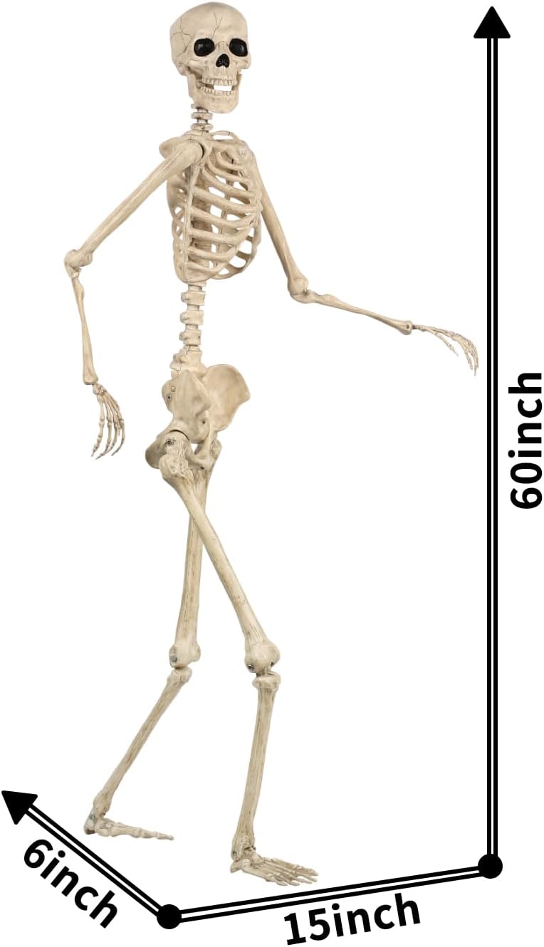 Seasons 5 FT Pose-N-Stay Life Size Skeleton with Realistic Posable and Movable Joints Halloween Decoration for Crazy Bonez Skeleton Line