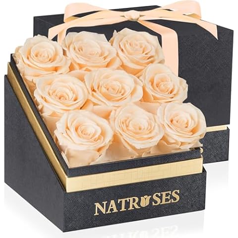 NATROSES Forever Preserved Roses in a Box, 100% Real Roses That Last Up to 3 Years, Flowers for Delivery Prime Birthday, Valentines Day Gifts for Her, Birthday Gifts (Buttermilk) Cover