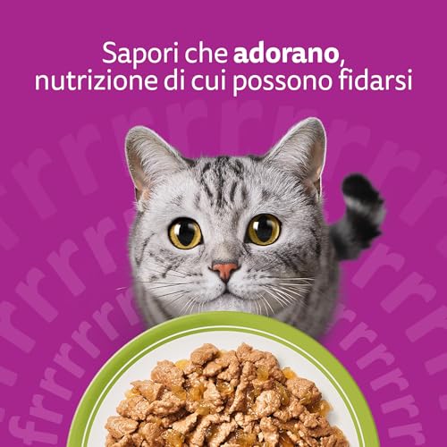Whiskas Selezione Assortita in Gelatina 1+, Cibo Umido per Gatti, Pacco Formato Scorta, 84 Bustine ognuna da 85g (84 x 85g) - 7