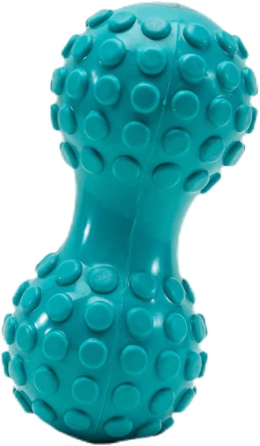 Gaiam Restore Dual-Zone Back Massage Roller Blue : Health & Household