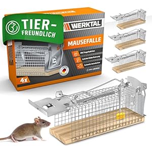 WERKTAL Mausefalle lebend - Hochsensitive Lebendfalle Maus [4er Set] - Tierfreundliche Hygenische M&auml;usefalle mit Doppelt&uuml;r - Einfache K&ouml;derfixierung - Wiederverwendbare Rattenfalle lebend