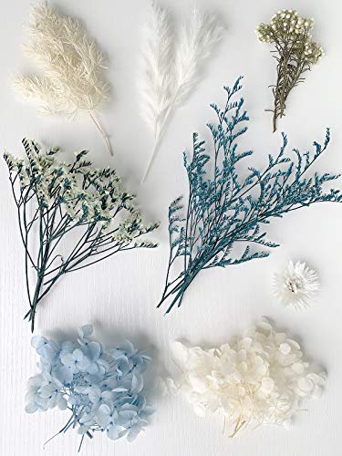 Real Dried Leaf Flowers Plant Herbarium for Craft Jewelry Making (Blue)