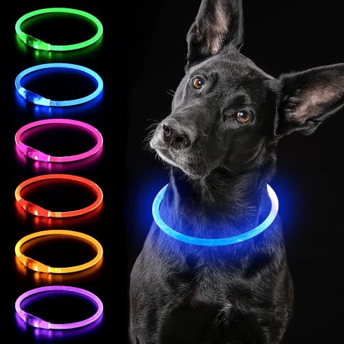 iTayga leuchthalsband Hund, USB-aufladbar und wasserdicht hundehalsband, verstellbare Länge, Sicherheitshalsband für Hunde und Katzen, 3 Modi, Blau