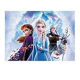 【Fondo de foto congelada】Fondo de foto congelada, detalles llamativos, colores vivos. Esta pancarta de fondo de cumpleaños de Frozen es la decoración perfecta para la fiesta de cumpleaños y creará un ambiente agradable para tu fiesta.