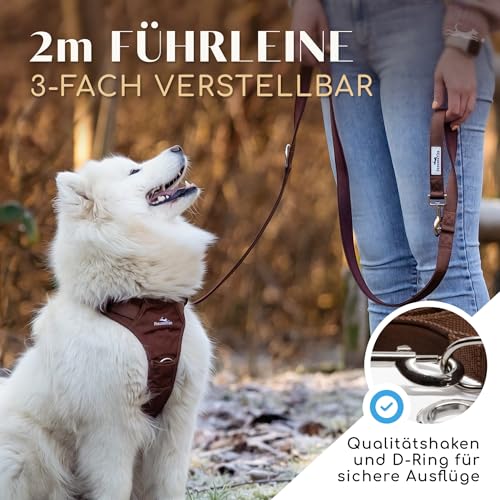 FREUDENTIER Hundeleine 2m – Verstellbare Führleine - Weich gepolstert, liegt angenehm in der Hand - Robuste Leine Hund für mittelgroße & große Hunde - Model Clyde (Braun, 25mm)