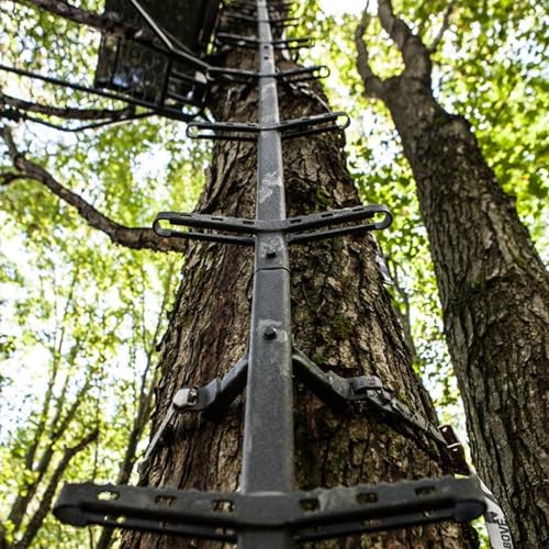Image of Hawk Traction Climbing Stick, 20 Foot Tree Climbing Hunting Gear with Double Traction Grip, Hunting Accessories for Tree Stands, Deer Stands, & Blinds