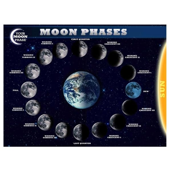 EDUSCOPE Phases of the Moon Chart - 1 Unit-image-25