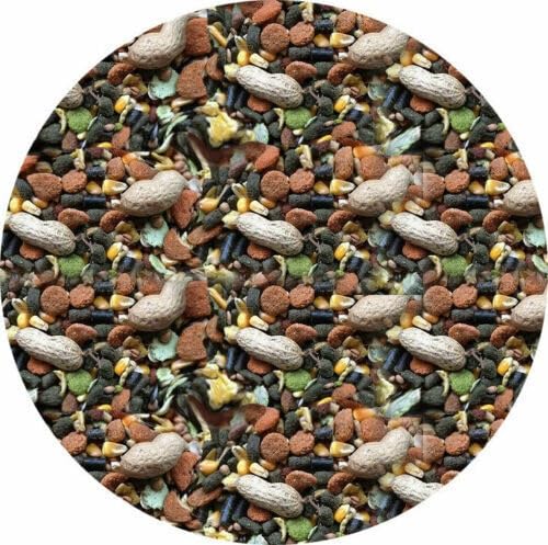 SUPREME Harry Hamster Food 10kg 5kg 3kg 2kg 1.5kg 1kg 500g Mixed Museli Food With Nuts (Mixed - 1kg)