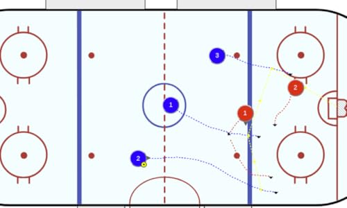 ICEHOCKEY Coach Aide