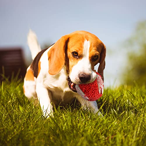 Agccjdc Indestructible Dog Toys For Aggressive Chewers, Interactive Dog Toys For Large Dogs, Puppy Toys For Boredom And Stimulating, Puppy Chew Toys For Teething, Dog Puzzle Toys (Crab-Green) #TOP5
