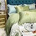 Geekcook Zestaw pościeli Queen, 80 sztuk Lenzing Tencel czteroczęściowy jedwabny pokrowiec na kołdrę na wiosnę i lato nagi sen jedwab łyżwiarstwo jedwabna pościel - jasnozielony_1,5/1,8 m