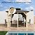 10x10 ft Wood Gazebo, Upgrade Spruce Frame and Double Galvanized Steel Roof, Hardtop Gazebo