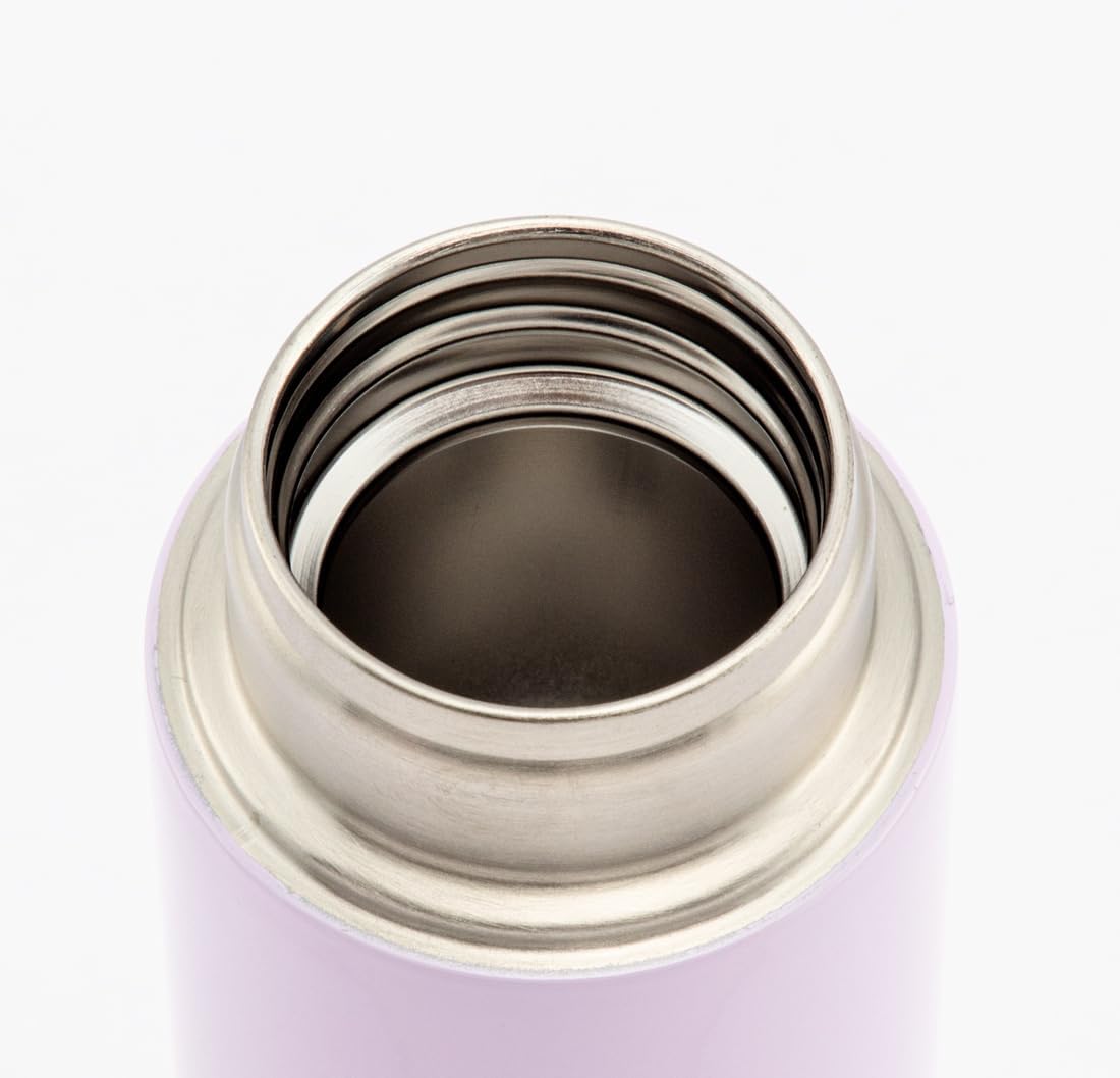 Skater STYL4-A Mug Bottle, Chihiro Iwasaki, 11.8 fl oz (350 ml), Ultra Lightweight, Stainless Steel, Water Bottle