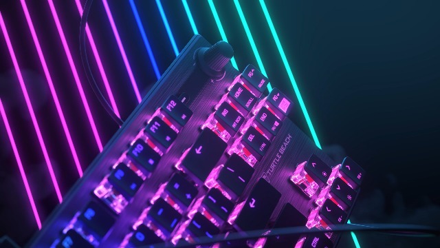 Amazon.com: Turtle Beach Vulcan TKL Tenkeyless Linear Mechanical