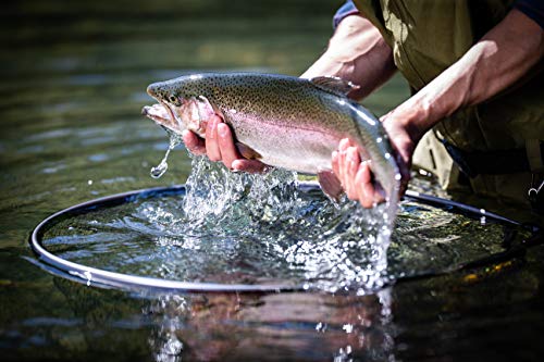 Frabill Floating Trout Net, 13" x 18", Black Finish, Fish Landing Net, Tangle-Free Micromesh Netting is Gentle on Fish, Comfortable Handle with Built-in Lanyard and Carabiner by FRABILL - Image 2