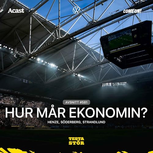 581. Hur m&aring;r ekonomin?