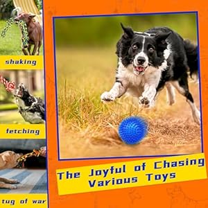 Zeaxuie Luxury Tough Dogs Toys for 5-50lbs Dogs -12 Pack Valued Dog Toys for Small,Medium Breed & Large Breed with Interactive Rope Toys,Squeaky Chew Toys for Teething