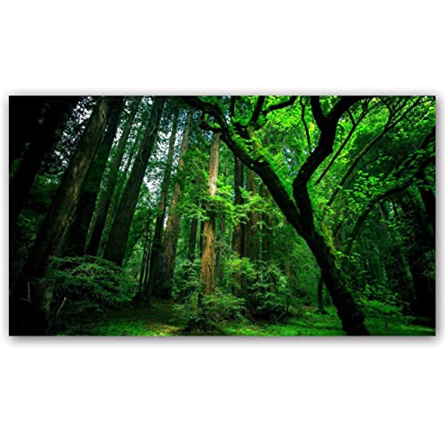 Moderne Bos Boom Natuur Landschap Poster en Prints Canvas Schilderij Muur Kunst Foto's voor Woonkamer Huisdecoratie… - Image 3