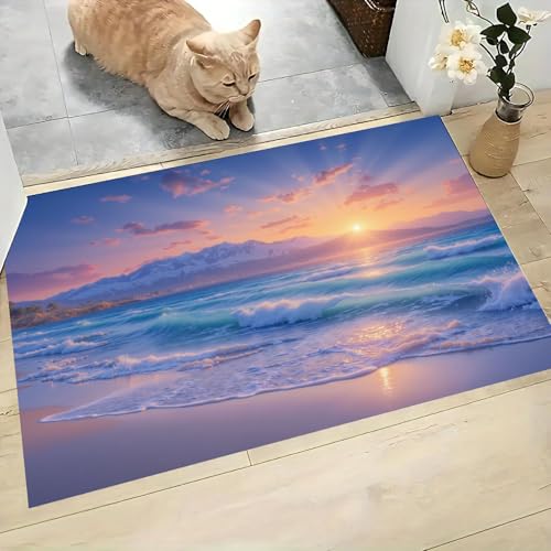 Tapis de sol antidérapant paillasson attrape-poussière lavable pour entrée propre - 4