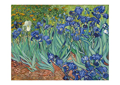 Affiche encadrée Irises Van Gogh Petit Format Mat pour décoration murale intérieure