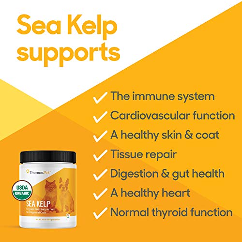 Thomas Laboratories C-Kelp Nutritional Supplement Powder, 7-Pound #TOP4