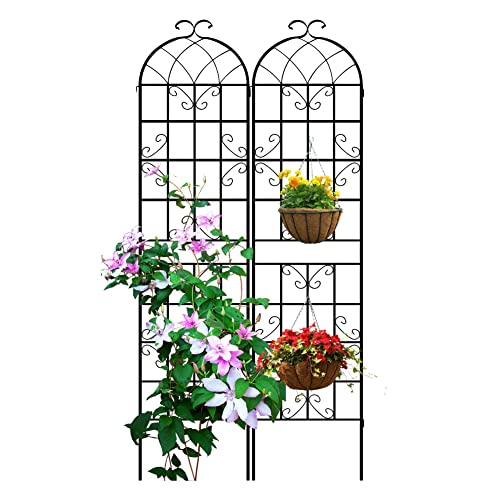 LZRS 2 Pack 83x20in Rustic Iron Arch Decoration Garden Trellis with Black Metal Coating – Perfect for Supporting Climbing Plants Outdoor, Roses, Vines, Flowers, and Vegetables.