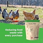 GrubTerra Golden Dried Black Soldier Fly Larvae - Premium Supplement to Increase Egg Production for Pet Treats, Bird Feed, Chicken Feeder, Pet Bird Food, and Wildbird Feed (10lb) - Image 4