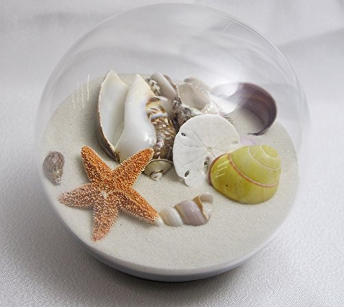 Sand and Shell Sandglobe Paperweight 3-inch White S