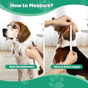 Superior Strong Oxford Cotton Lining Adjustable Buckle Pet Friendly Waterproof Secure Fit Soft & Protective Dog Cone Collar for Grooming, After Surgery Recovery, Rashes Protection (Medium) Superior Strong Oxford Cotton Lining Adjustable Buckle Pet Friendly Waterproof Secure Fit Soft Protective Dog Cone Collar for Grooming After Surgery Recovery Rashes Protection Medium